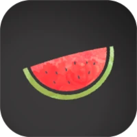 VPN Melon